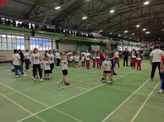 img (3)